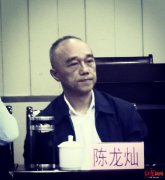  增补的六位成都市乒协副主席是陈龙灿、成建新、江嘉章、刘民忠、许雪松、